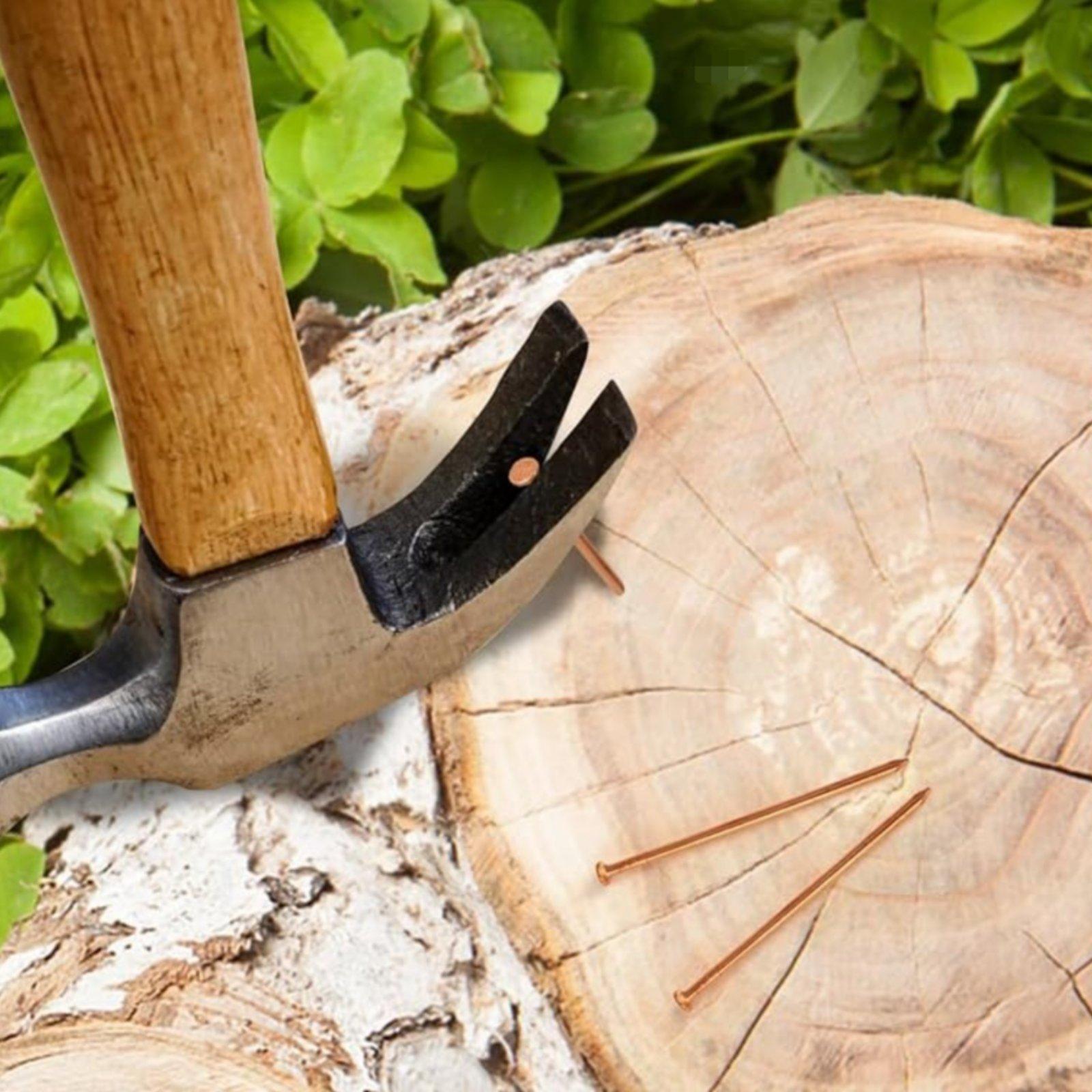 Paku untuk Tunggul Pohon, Solu - Heavy Equipment Landscaping ulasan dan harga